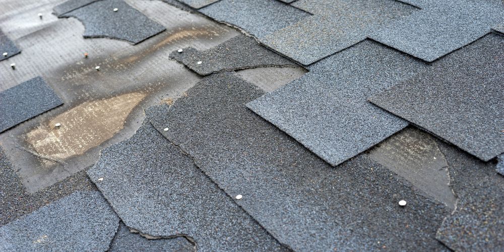 A photo of dark grey asphalt shingles deteriorating on a Kitchener-Waterloo roof.