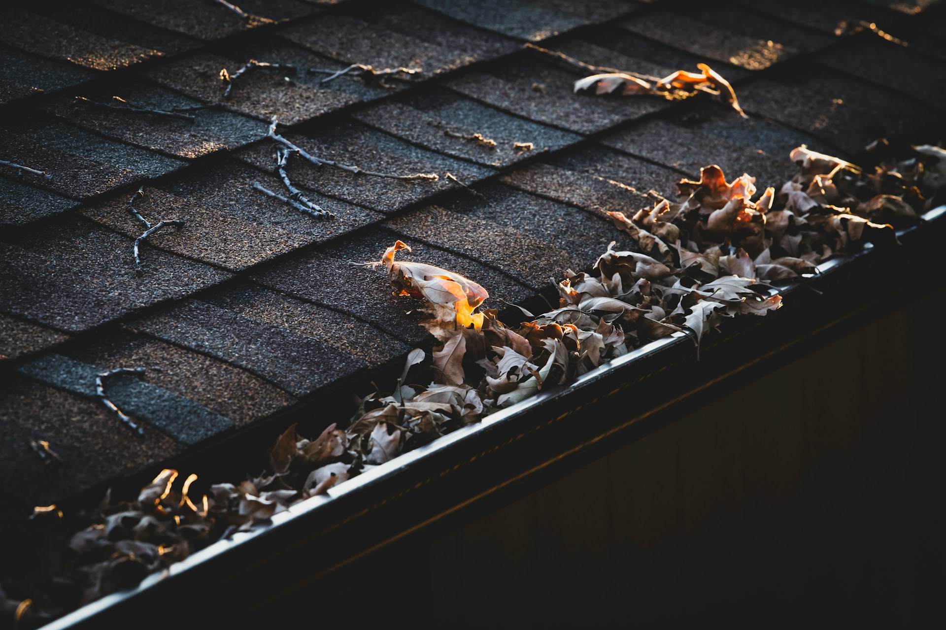 5 Reasons to Call a Gutter Cleaning Service Instead of Doing It Yourself