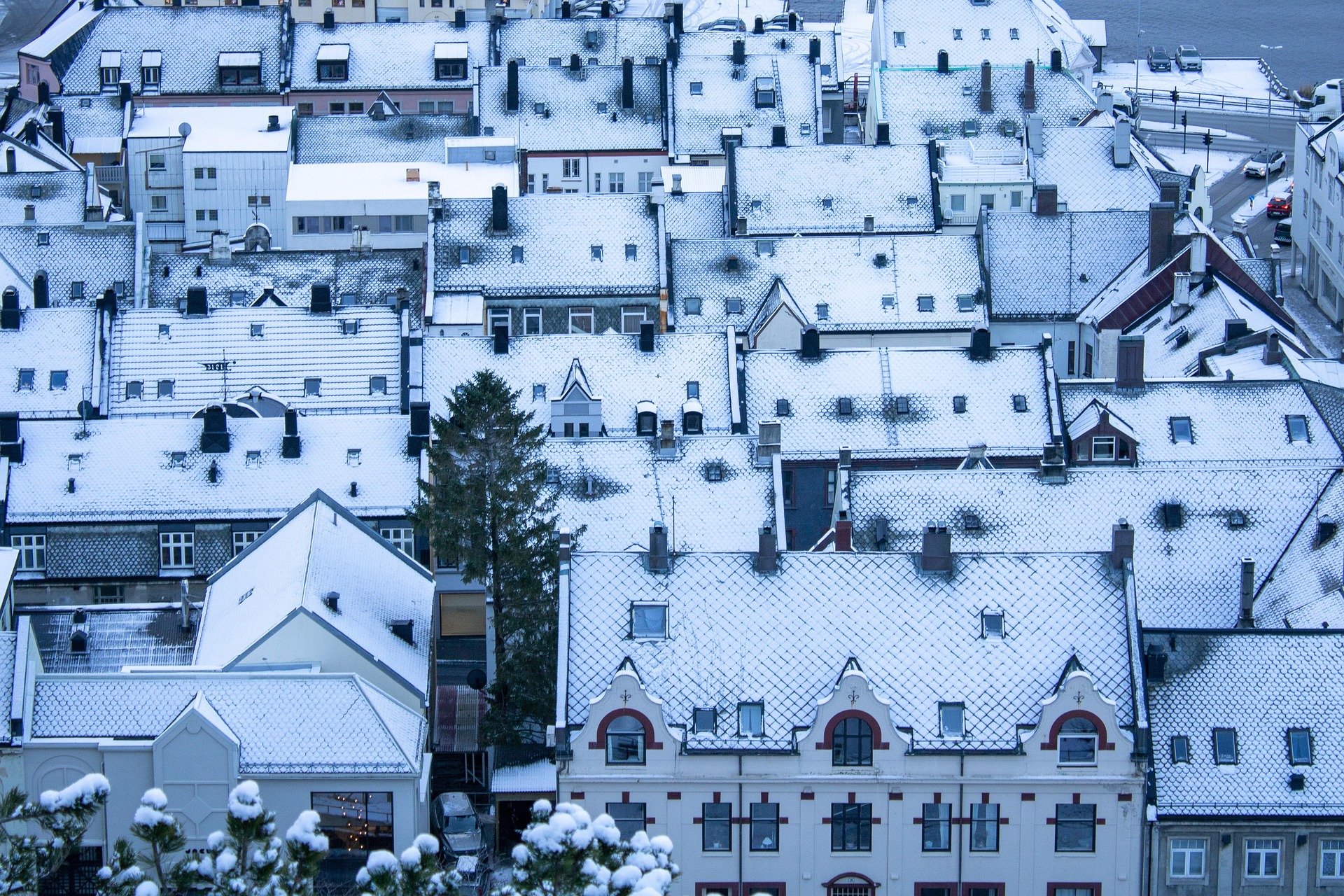 Waterloo Snow Event Alert Everything You Should Do Before the Storm Hits