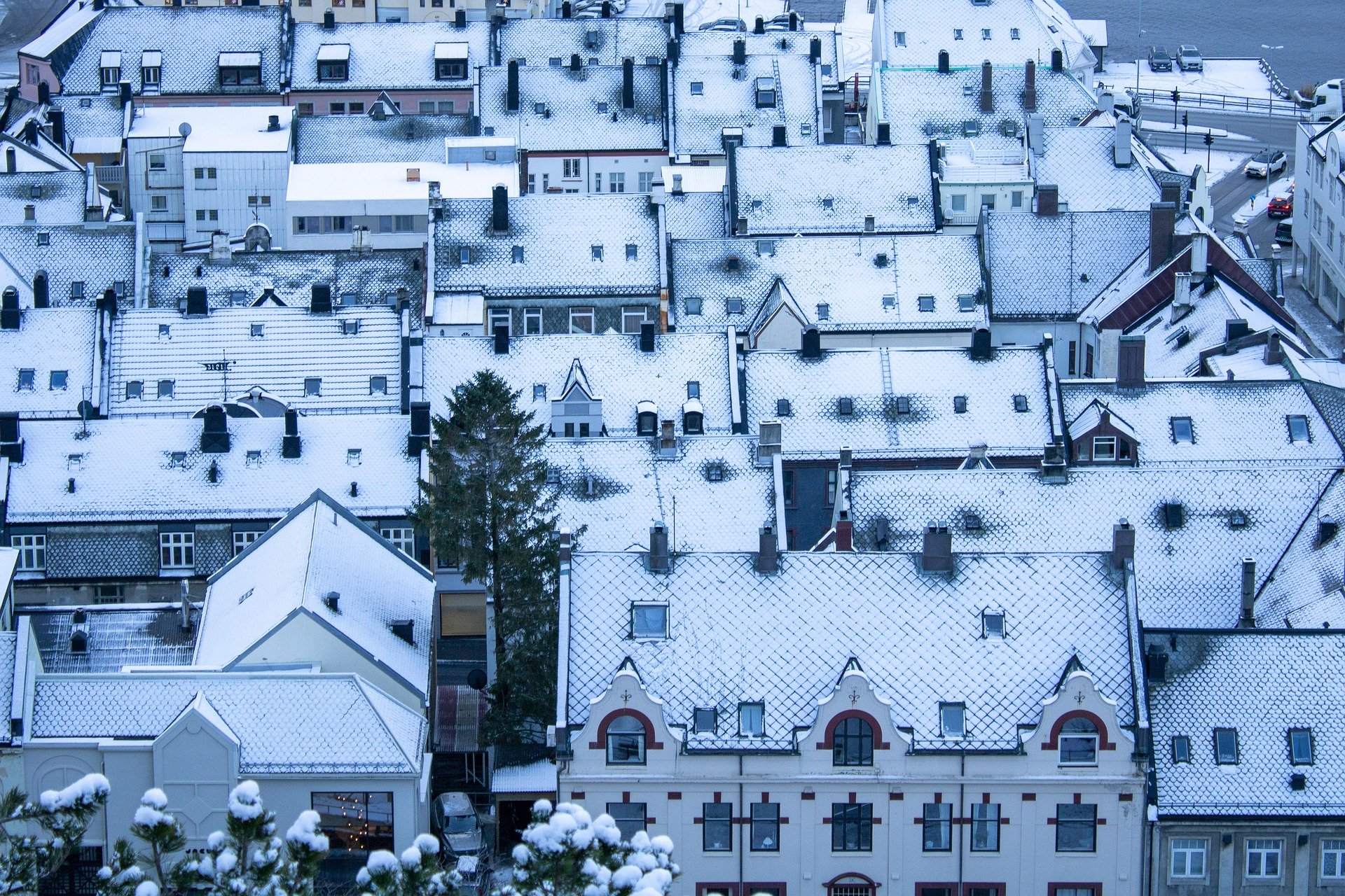 Waterloo Snow Event Alert Everything You Should Do Before the Storm Hits