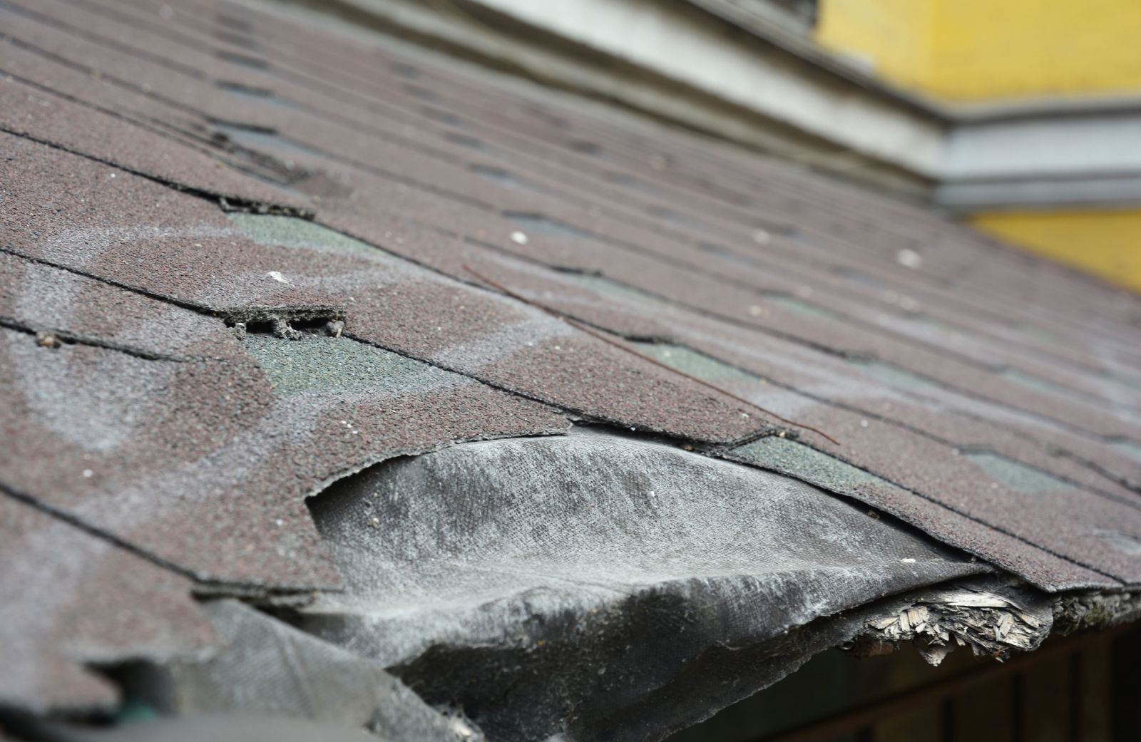 Quality Care Roofing Images