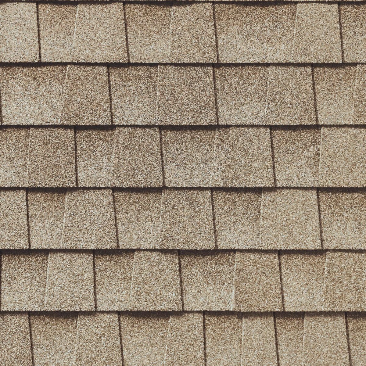 Quality Care Roofing Images