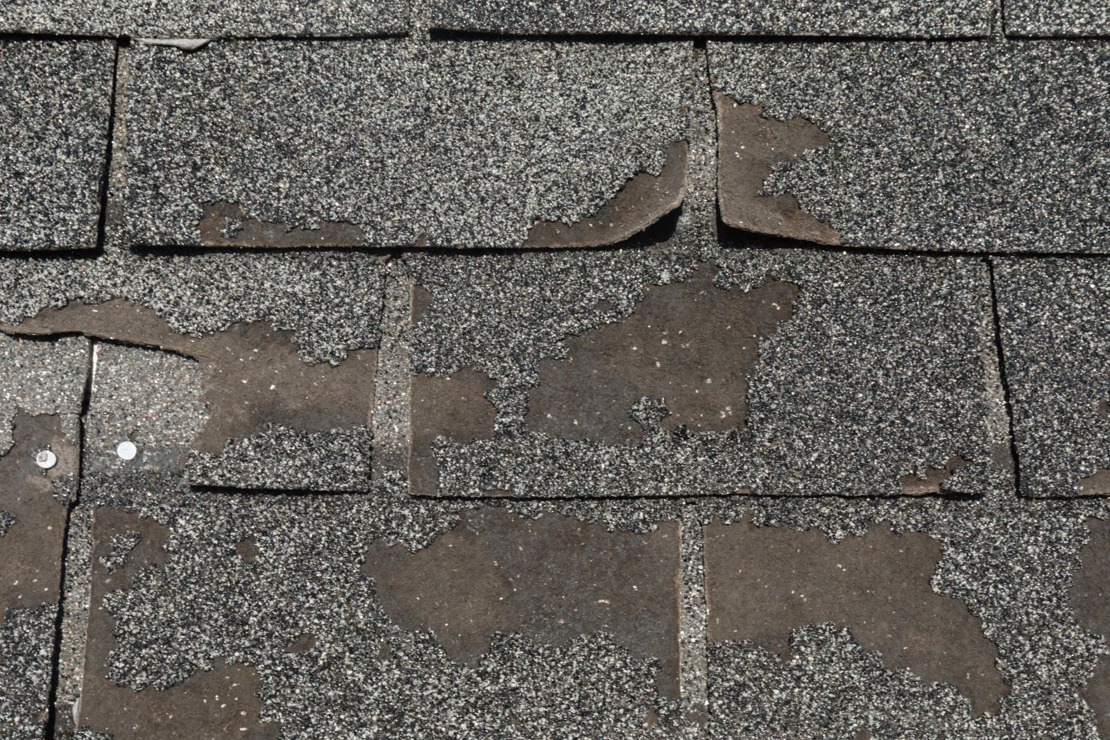 Quality Care Roofing Images